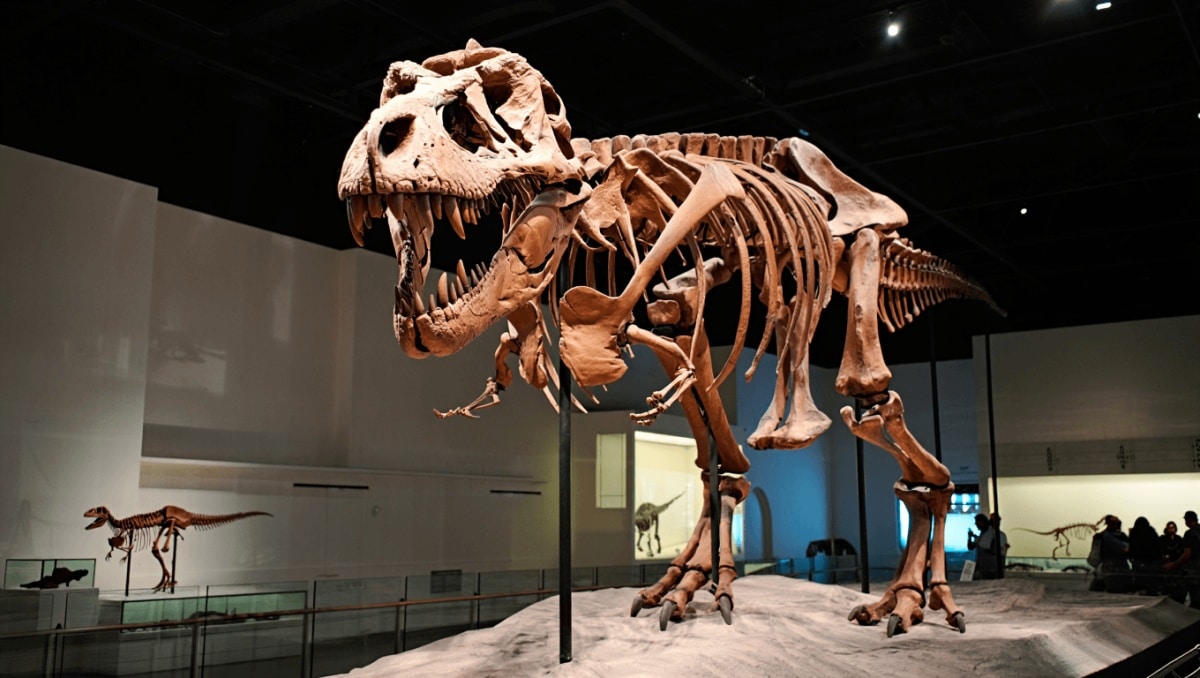 dinosauri record