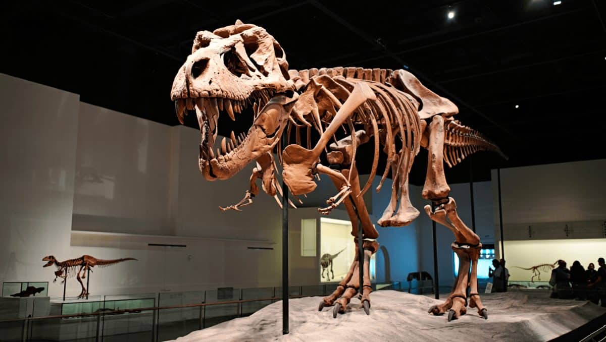 dinosauri record