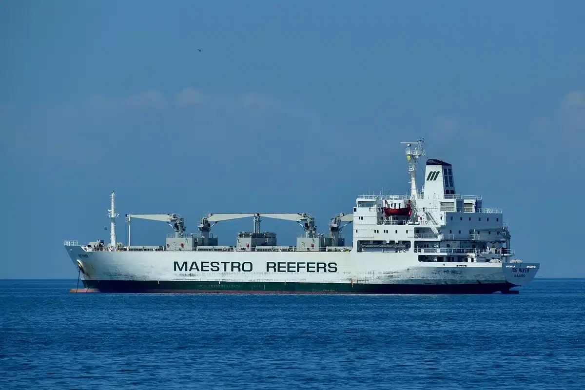 Fregata navale che scorta un mercantile in mare aperto