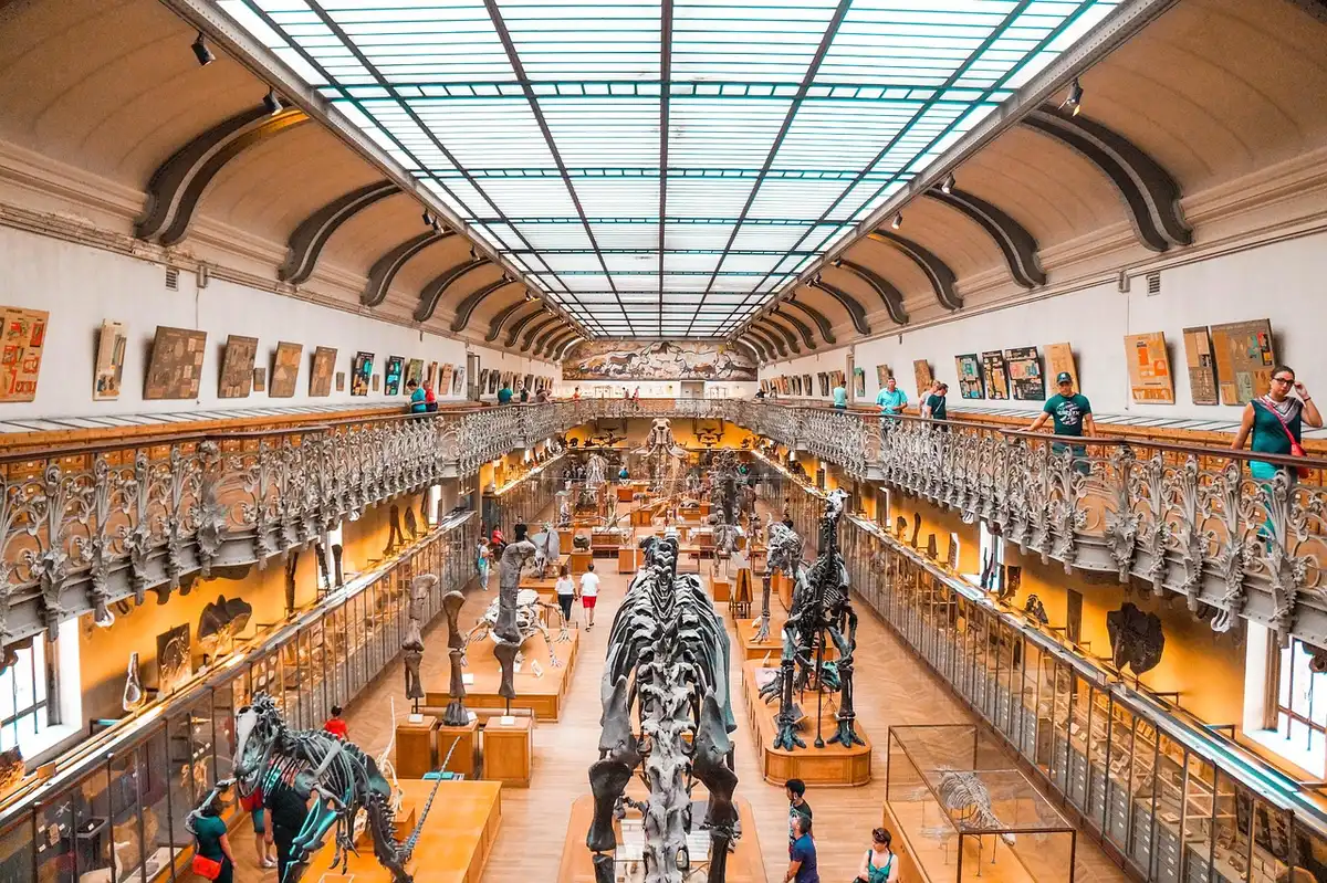 Interno della dimora storica con scala e sale espositive illuminate