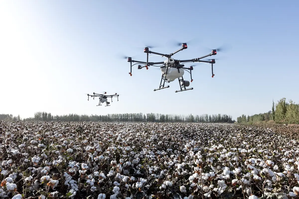Messa all'aperto nella Prairie con pellegrini riuniti