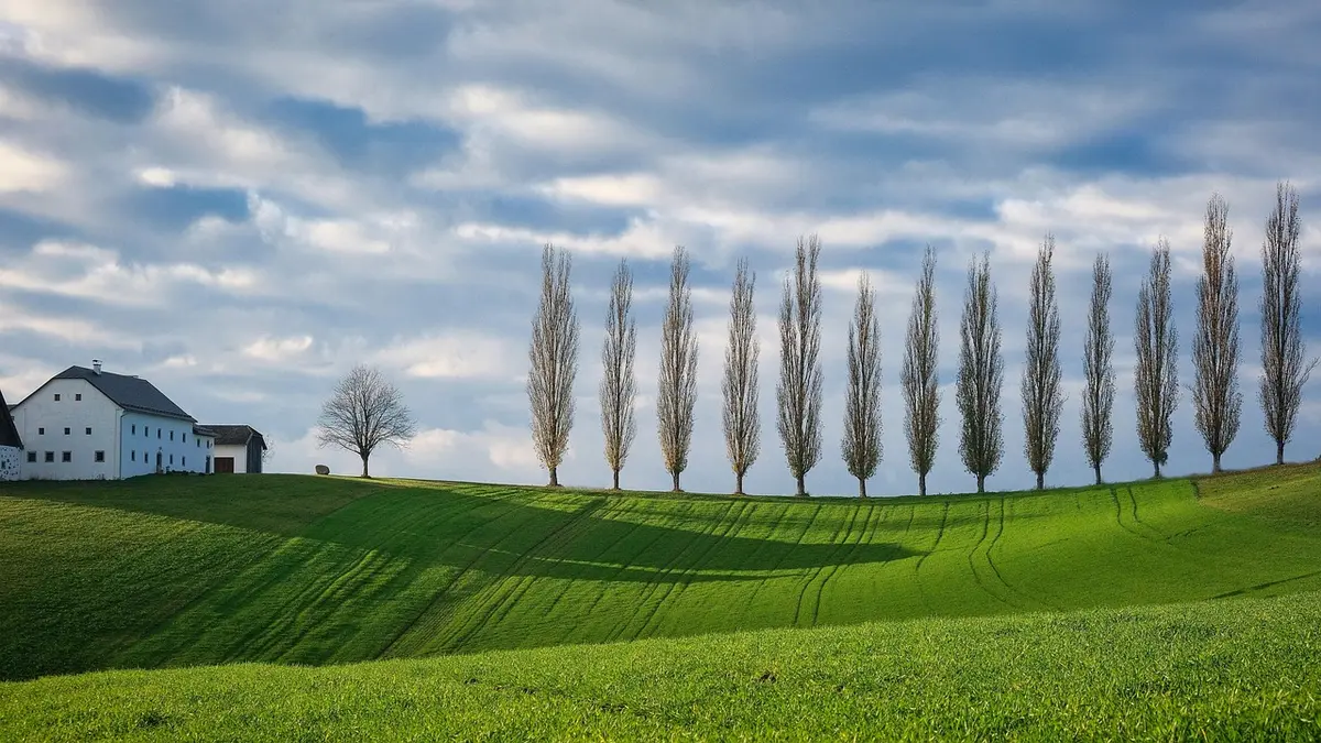 Paesaggio di campagna con torre sulla collina che evocò Pasolini