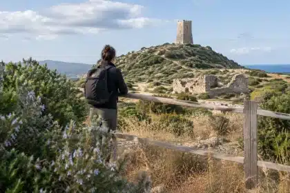 Il legame di Pasolini con la Torre di Chia tra diritti privati, usi civici e tutela pubblica