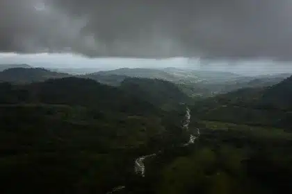 Fronte di pascolo deforestato che incontra la foresta pluviale