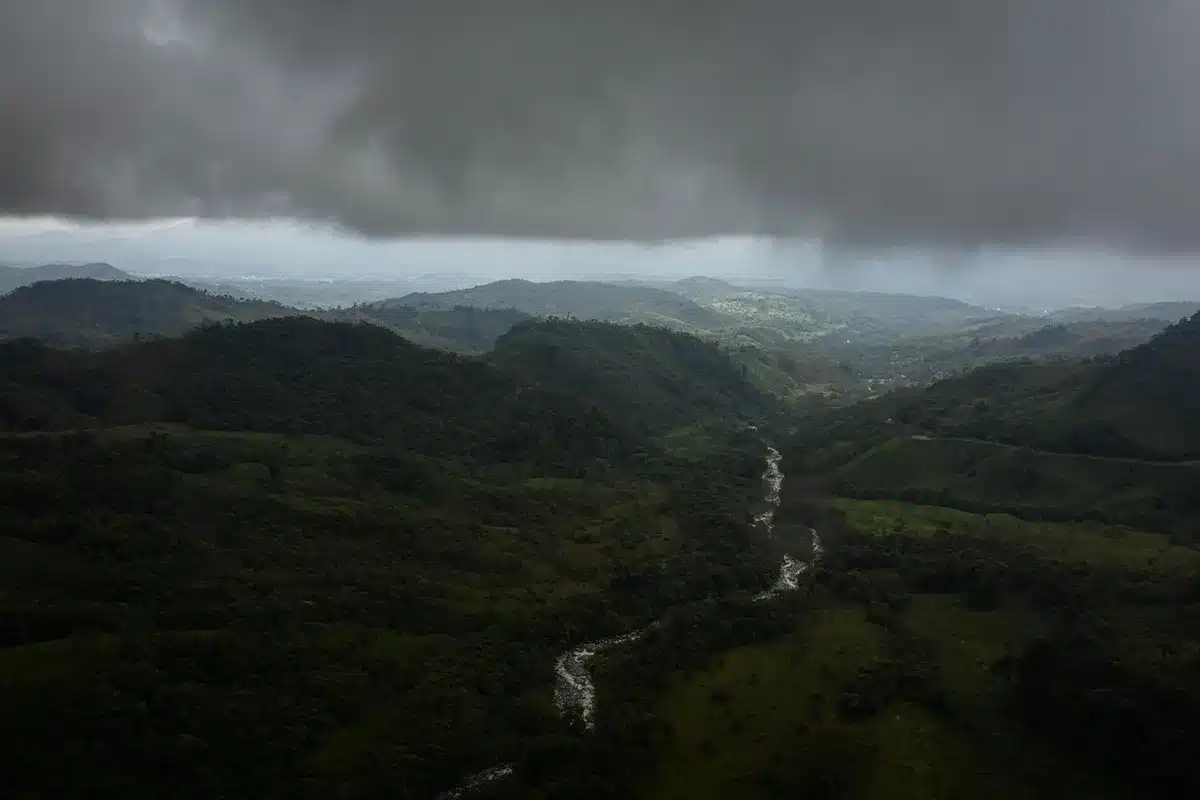 Fronte di pascolo deforestato che incontra la foresta pluviale