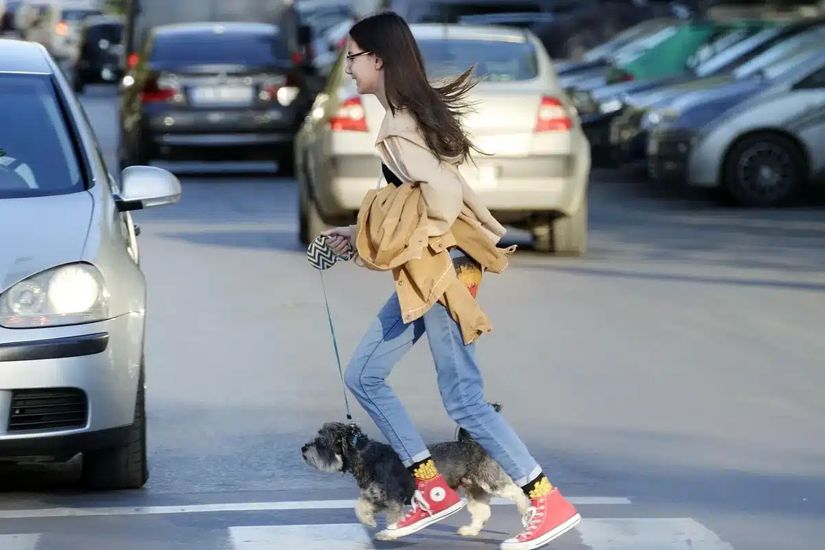 Parcheggio urbano con auto compatte e uno scooter in primo piano, vista anonima