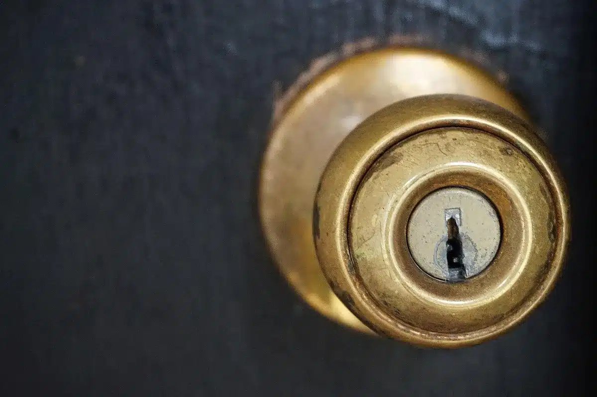 Candidati e volontari che discutono e consegnano volantini porta a porta